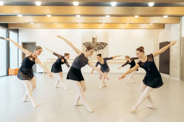movements - Ballett und Tanz — tanz-studio in Neckarstadt-Ost, Mannheim — 3