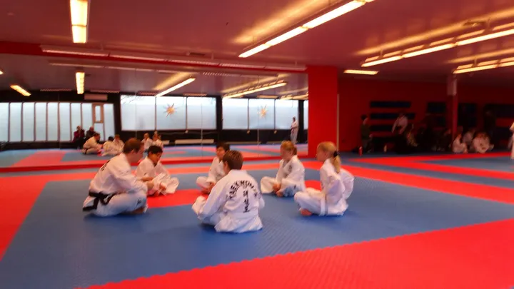 Torslanda Taekwon-Do Klubb — kampsport-studio i Torslanda, Göteborg — 2