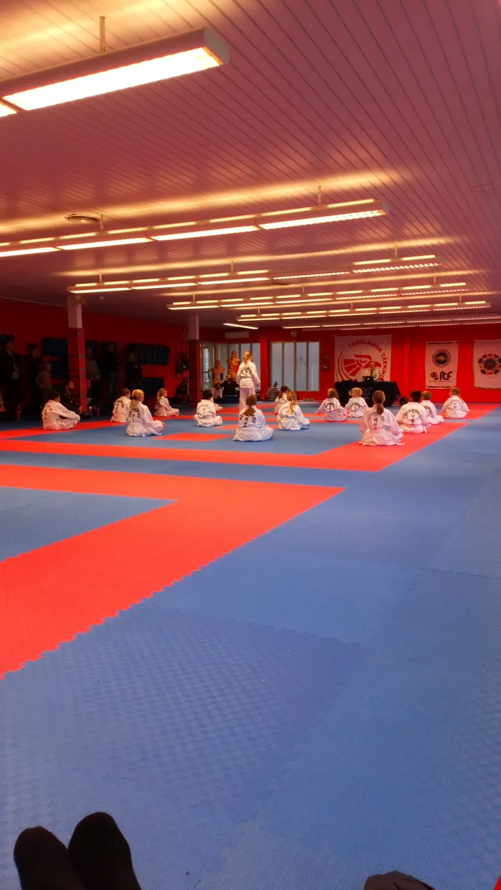 Torslanda Taekwon-Do Klubb — kampsport-studio i Torslanda, Göteborg — 3