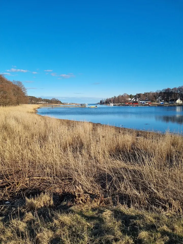 Varmr Sauna — wellness-studio i Husøysund — 4