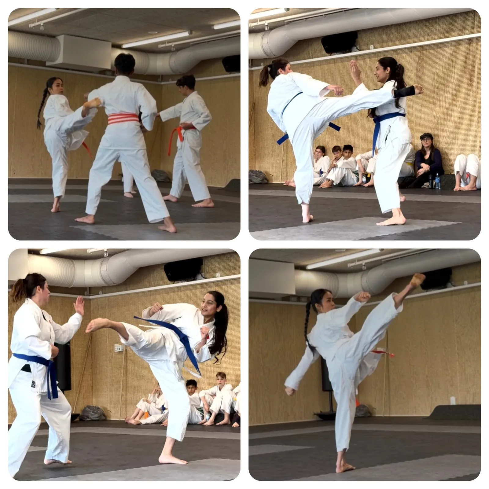 Stockholms Karateklubb — kampsport-studio i Hägersten, Stockholm — 3