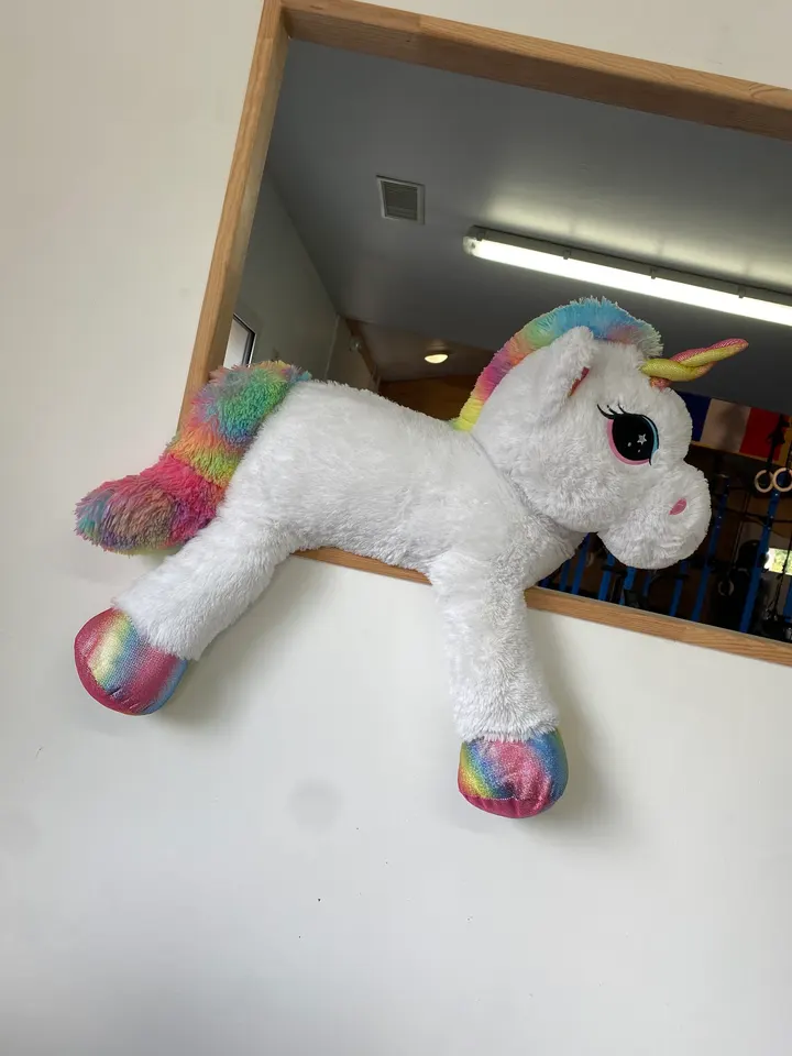 La Licorne — crossfit-studio à Gaillan-en-Médoc — 4