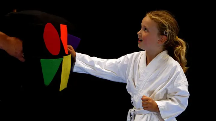 Karate Dojo Wadokai Gorinchem — vechtsport-studio in Stalkaarsen, Gorinchem — 2