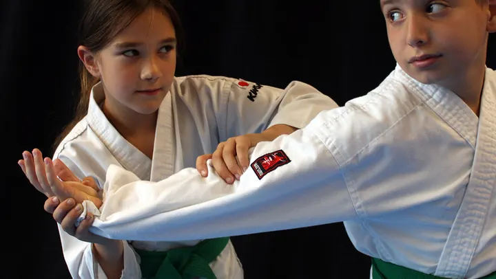 Karate Dojo Wadokai Gorinchem — vechtsport-studio in Stalkaarsen, Gorinchem — 3