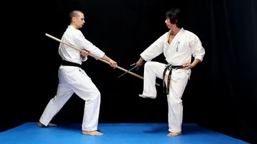 Karate Dojo Wadokai Gorinchem — vechtsport-studio in Gorinchem — 3