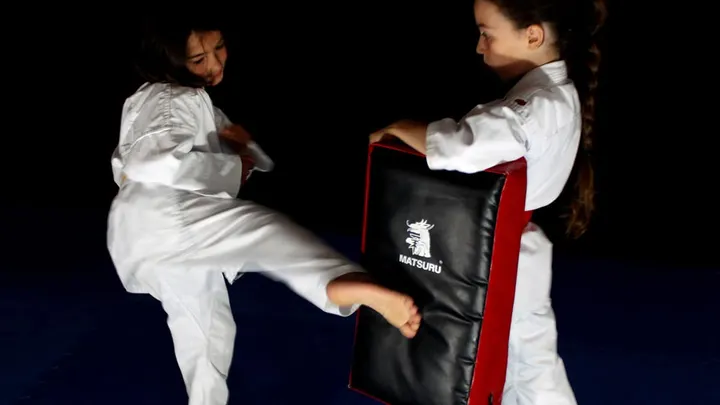 Karate Dojo Wadokai Gorinchem — Vechtsport in Stalkaarsen, Gorinchem