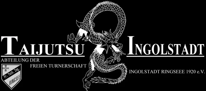 Taijutsu Ingolstadt — Kampfsport in Ringsee, Ingolstadt