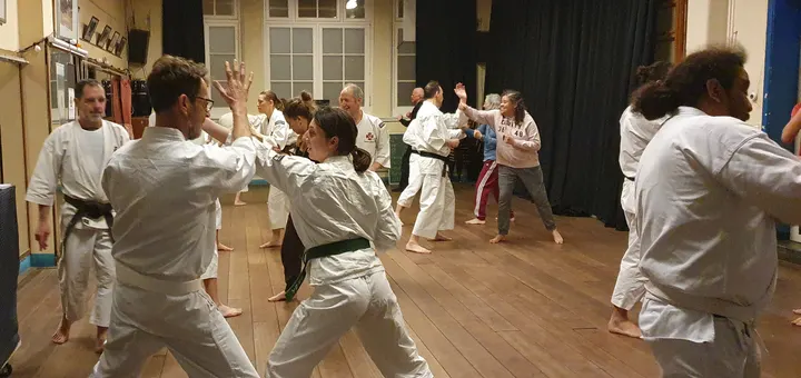 Zelfverdediging Shorinji Kempo — vechtsport-studio in West, Amsterdam — 3