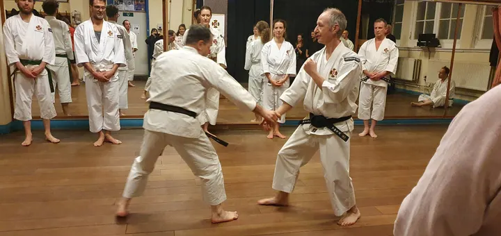 Zelfverdediging Shorinji Kempo — vechtsport-studio in Amsterdam — 4