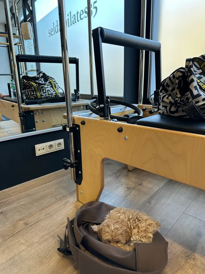 selda pilates35 — pilates-studio in München — 4