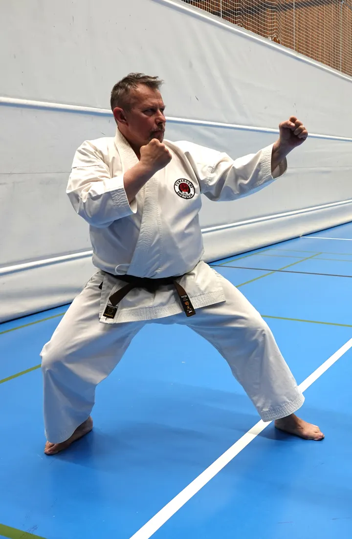 Shotokan Karate Finland ry — kamppailulajit-studio – Pornainen — 3