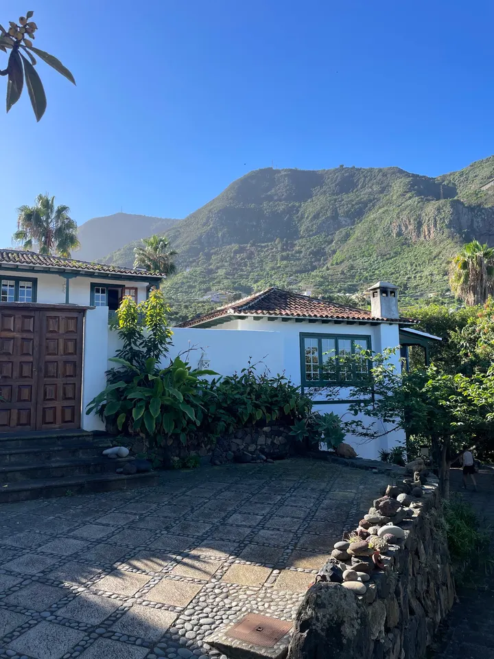 Ravi Marga Yoga School — yoga-studio en Puerto de la Cruz — 3