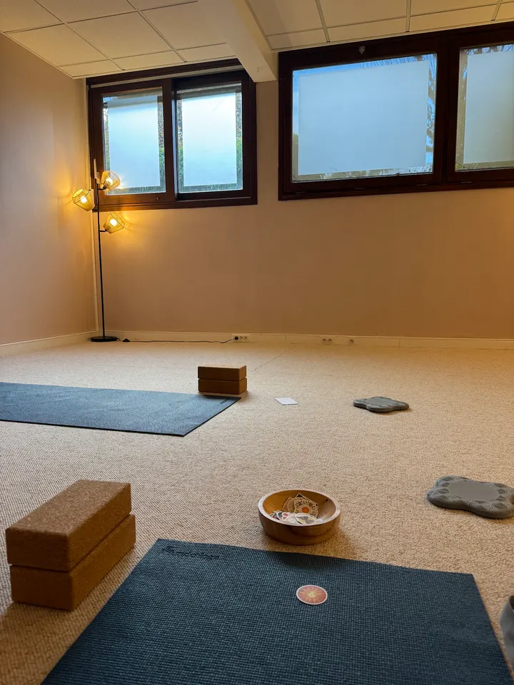 Sattvahimsa — Yoga à Soissons