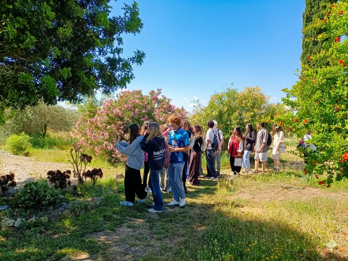 Templo Zen Seikyuji — meditación-studio en Morón de la Frontera — 3