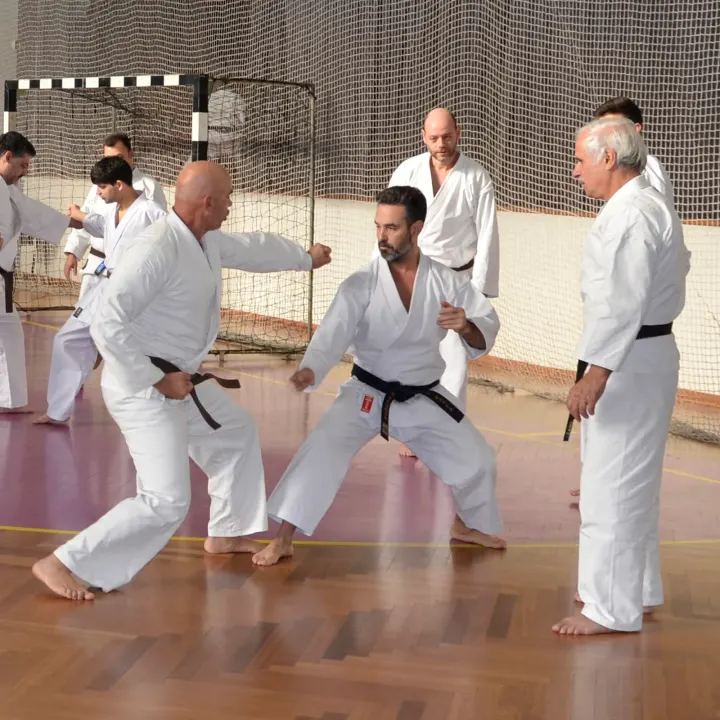 LkarateDojos Shotokan Kase-Ha — artes marciais-studio em Beira Mar, Aveiro — 2