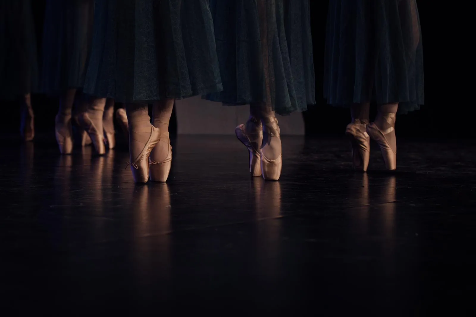 Ballettschule Eder — tanz-studio in Brühl — 3
