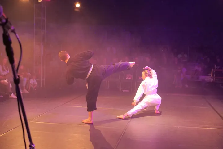 Viet Vo Dao Feudenheim — kampfsport-studio in Mannheim — 4