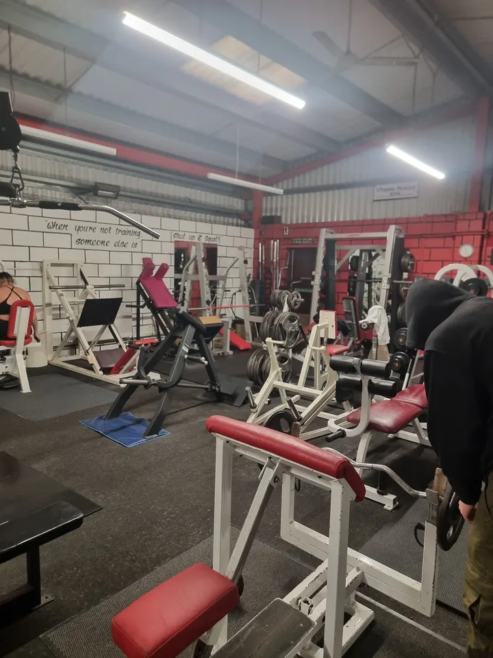Xtreme Muscle Gym — fitness studio in Ipswich — 4