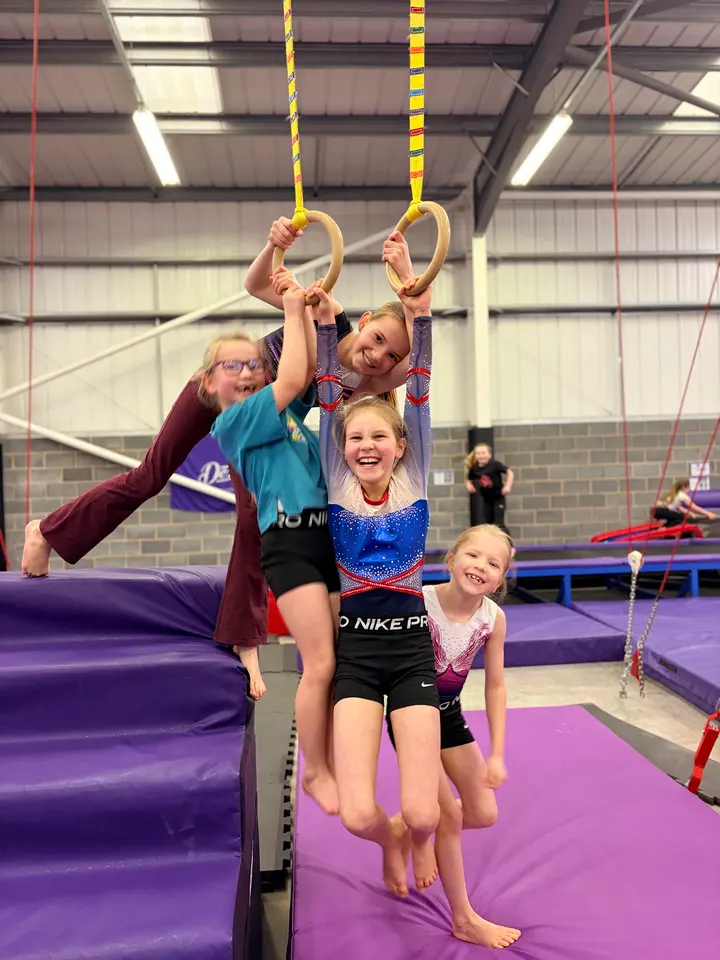 Dexterity Gymnastics Academy — gymnastics-studio in Hull — 3