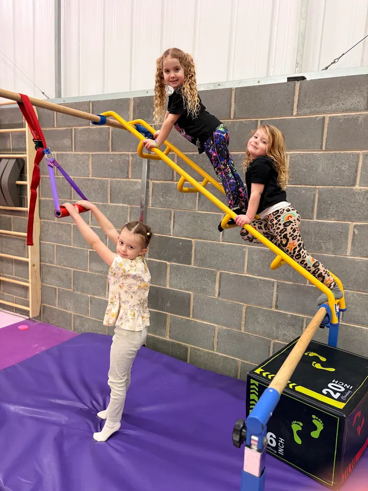 Dexterity Gymnastics Academy — gymnastics-studio in Hull — 5
