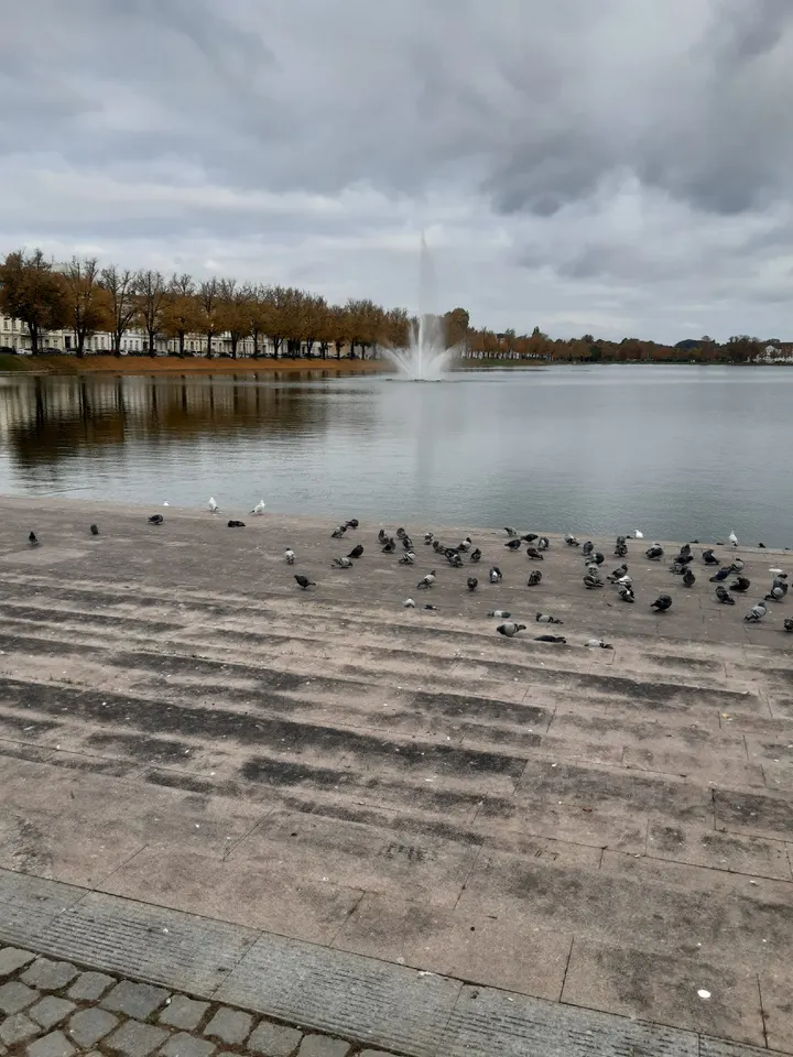 Rund um den Pfaffenteich — Cycling in Altstadt, Schwerin