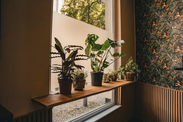 Strive for More — pt-studio in Berlin — 4