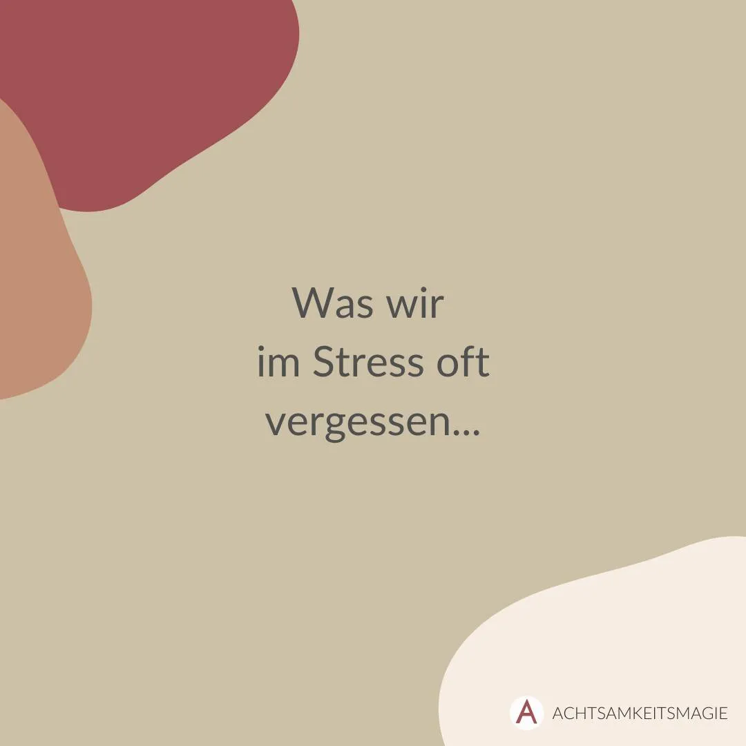 Achtsamkeitsmagie Grindel — meditation-studio i Hamburg — 3
