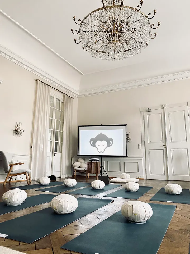 Mindful Monkey Yoga — yoga-studio in Stadtbezirk Bonn, Bonn — 2