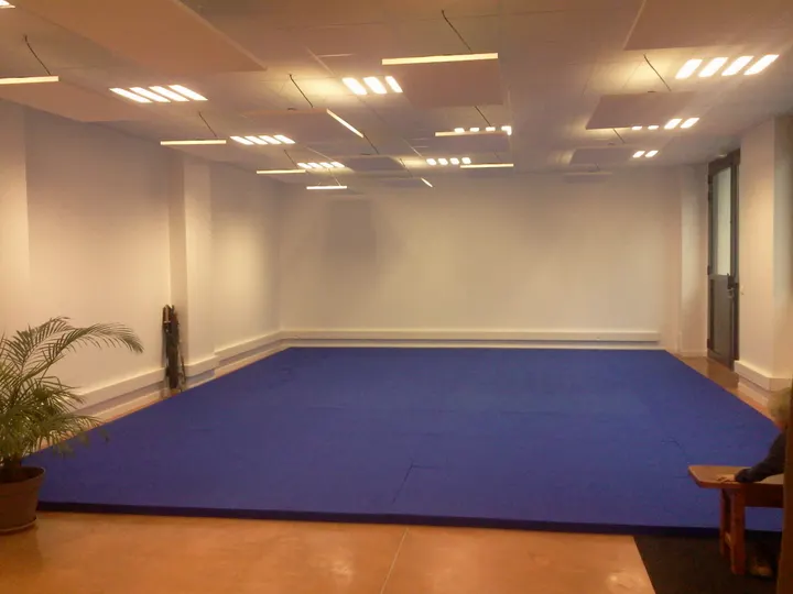 Ecole de Cheng Hsin d'Isère — arts martiaux-studio à Grenoble — 4