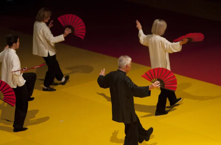 Taiji Yang Riv'Gauche — Arts martiaux à Paris 14e Arrondissement, Paris