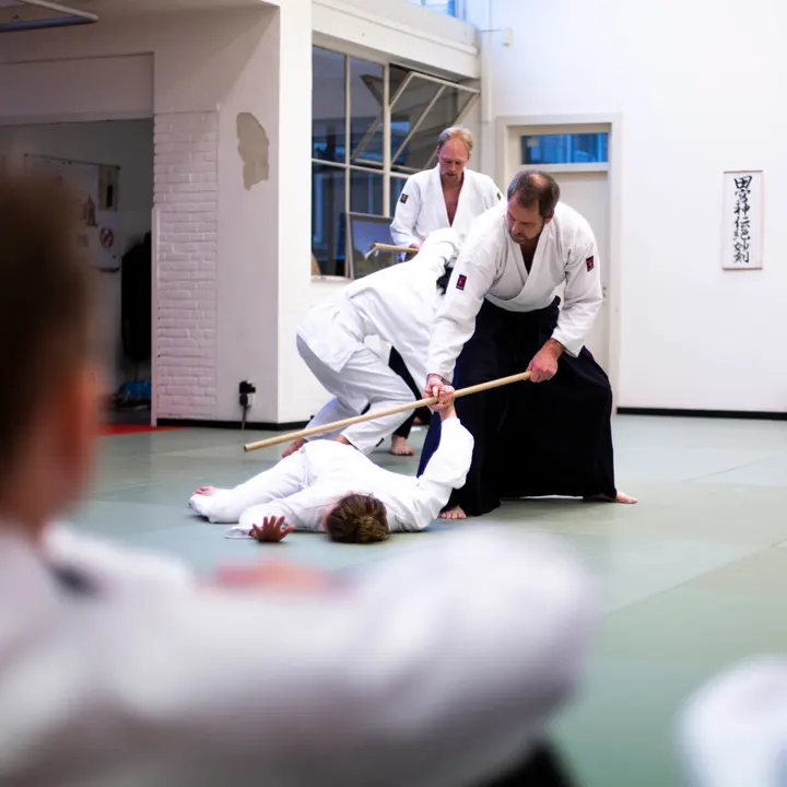 Aikido Koshinkai — vechtsport-studio in Vlietzone, Leeuwarden — 2