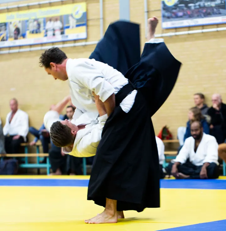 Aikido Koshinkai — vechtsport-studio in Vlietzone, Leeuwarden — 3