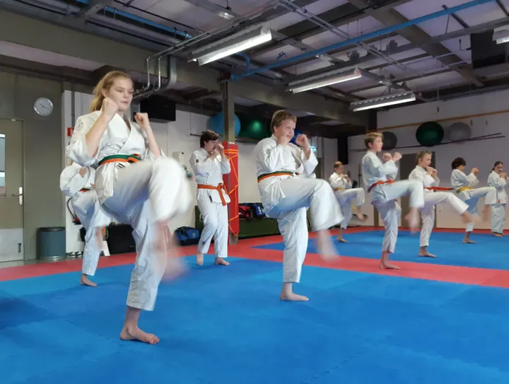 Tensho Karate Leeuwarden — vechtsport-studio in De Zwette II, Leeuwarden — 2