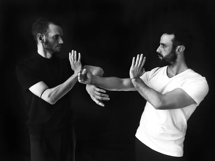 Wing Tsun Tao — Arts martiaux à Vaise, Lyon