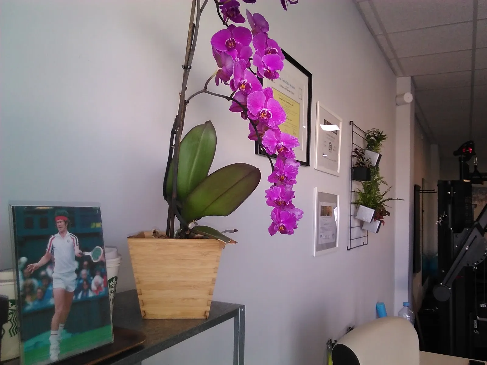 Studio9 Personal Training — entrenamiento personal-studio en Estepona — 4