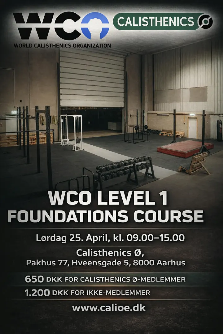 CalisthenicsØ — træningsstudio i Aarhus Ø, Aarhus — 2