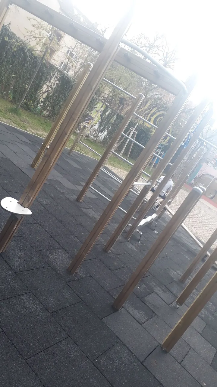 Calisthenics-Park Karlsruhe Oststadt — calisthenics-studio in Karlsruhe — 5