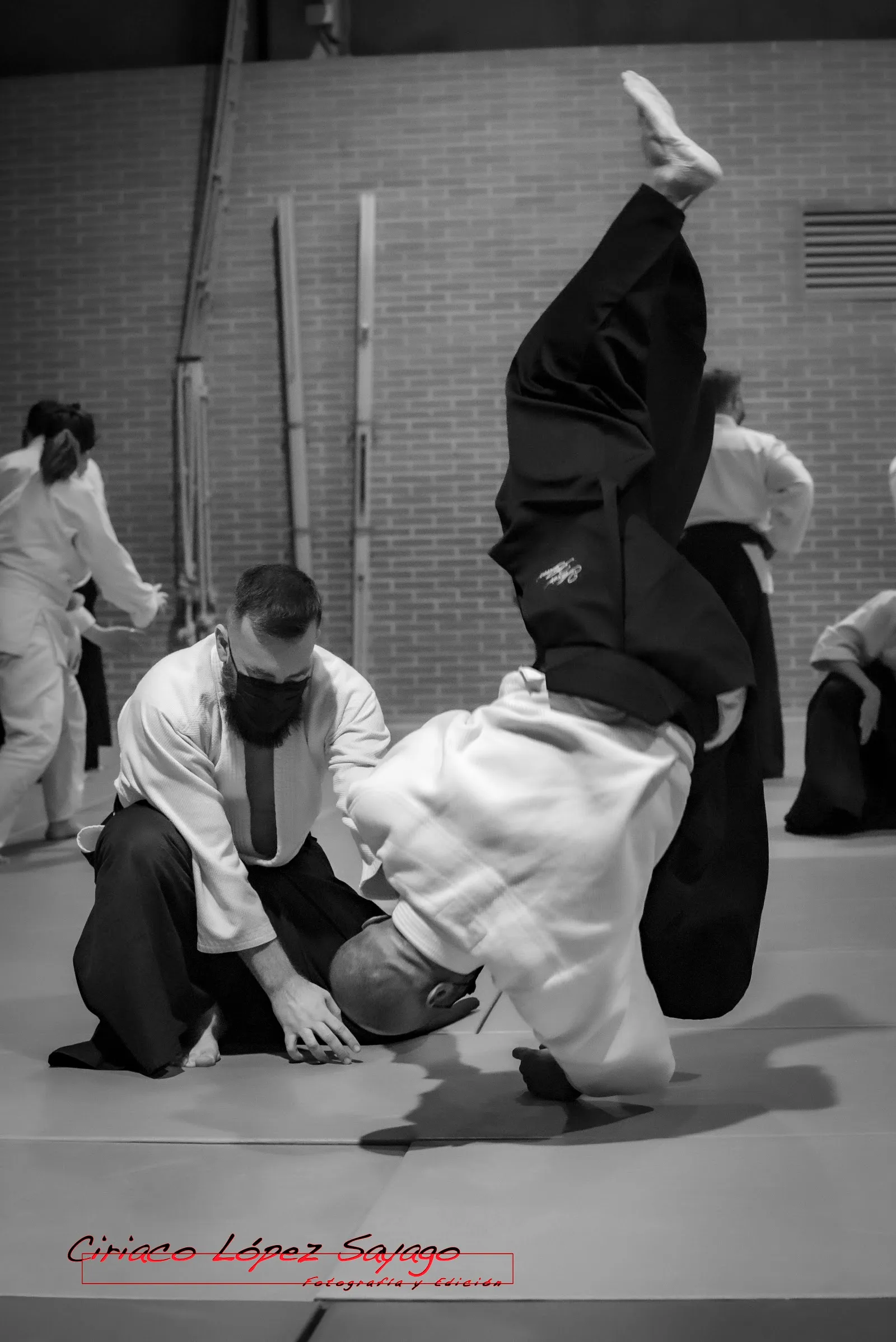 Aikido Shoshinsakai — artes marciales-studio en San Sebastián de los Reyes — 3