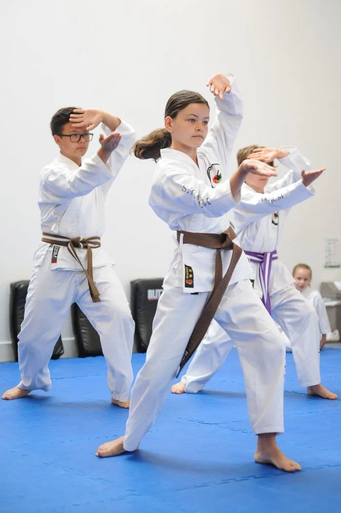 Dojo Van Rel Karate — martial arts-studio in Chalk Farm, London — 3