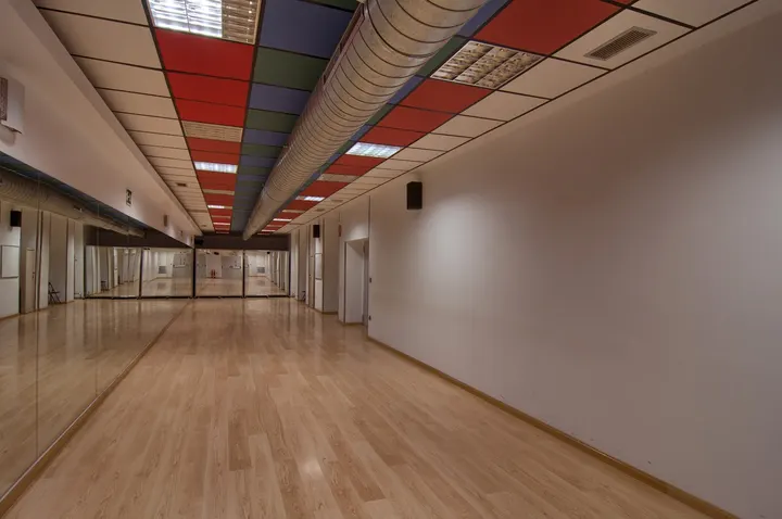 Escuela de Baile Danzalia Pepe y Elvira — baile-studio en Zaragoza — 3