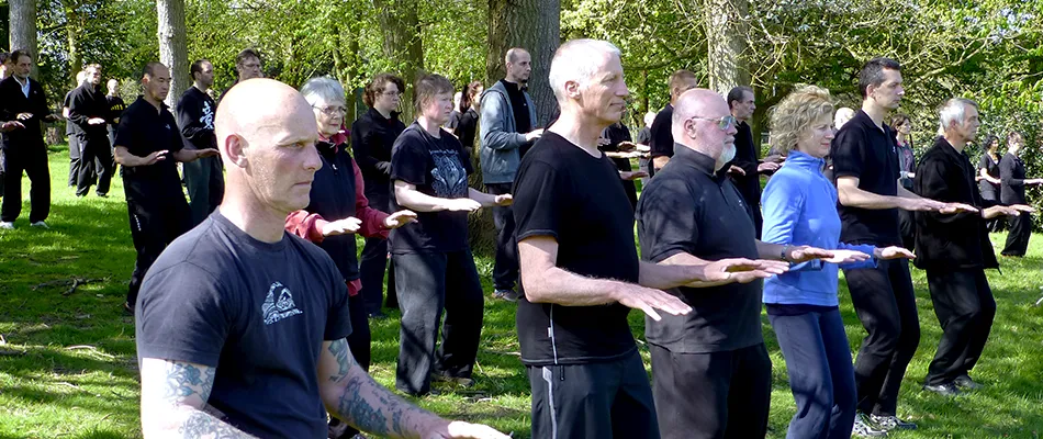Master Ding Academy - South Woodford — martial arts-studio in London — 3