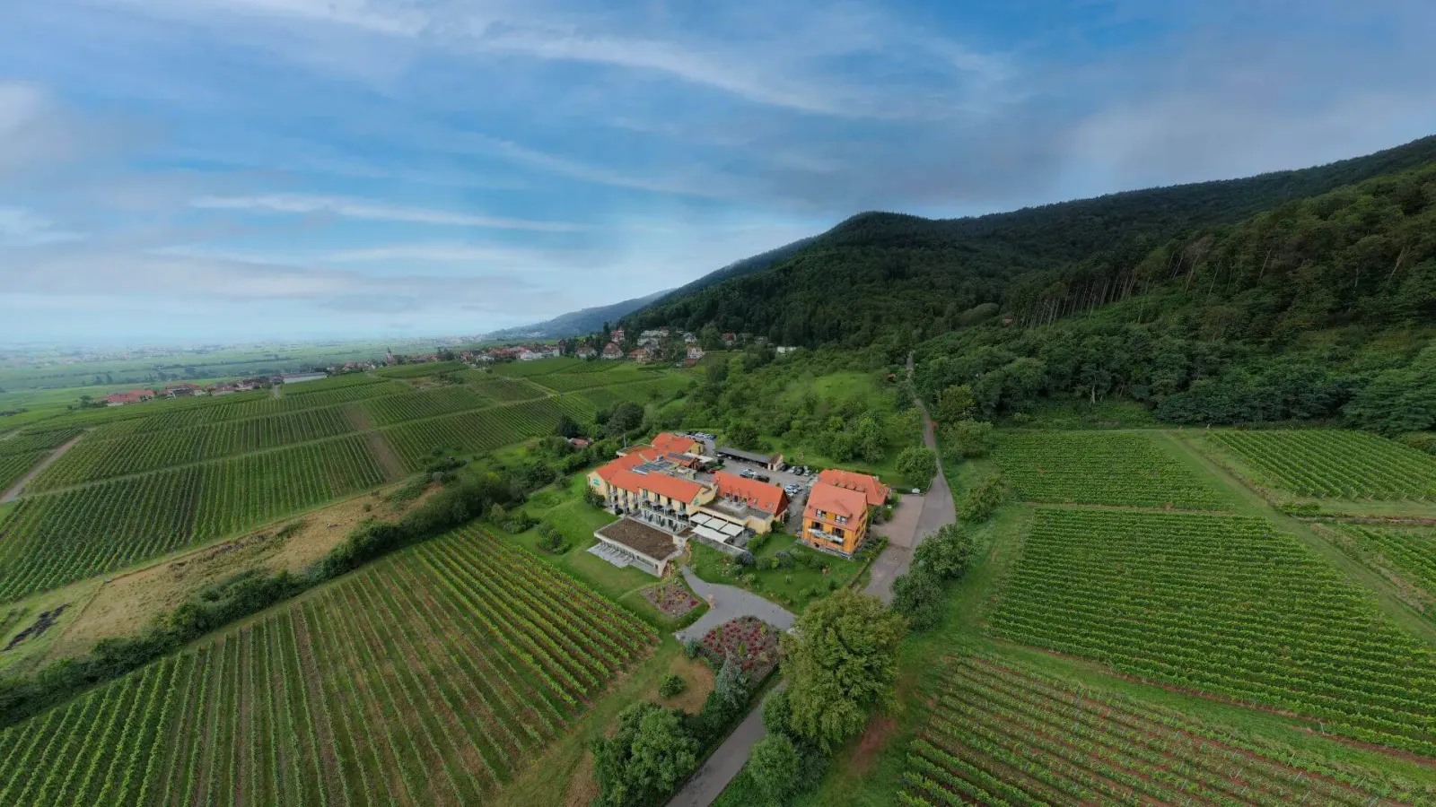 albtalyoga — yoga-studio i Waldbronn — 2