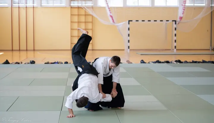 Aïkido Club Tomoe Gymnase du Portugal — Arts martiaux à Italie, Rennes