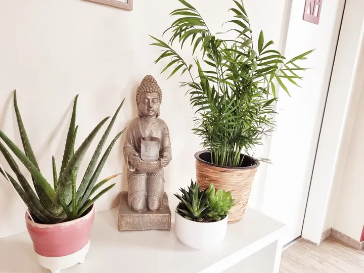 Kathrin Berg Yoga — yoga-studio in Oranienburg — 3