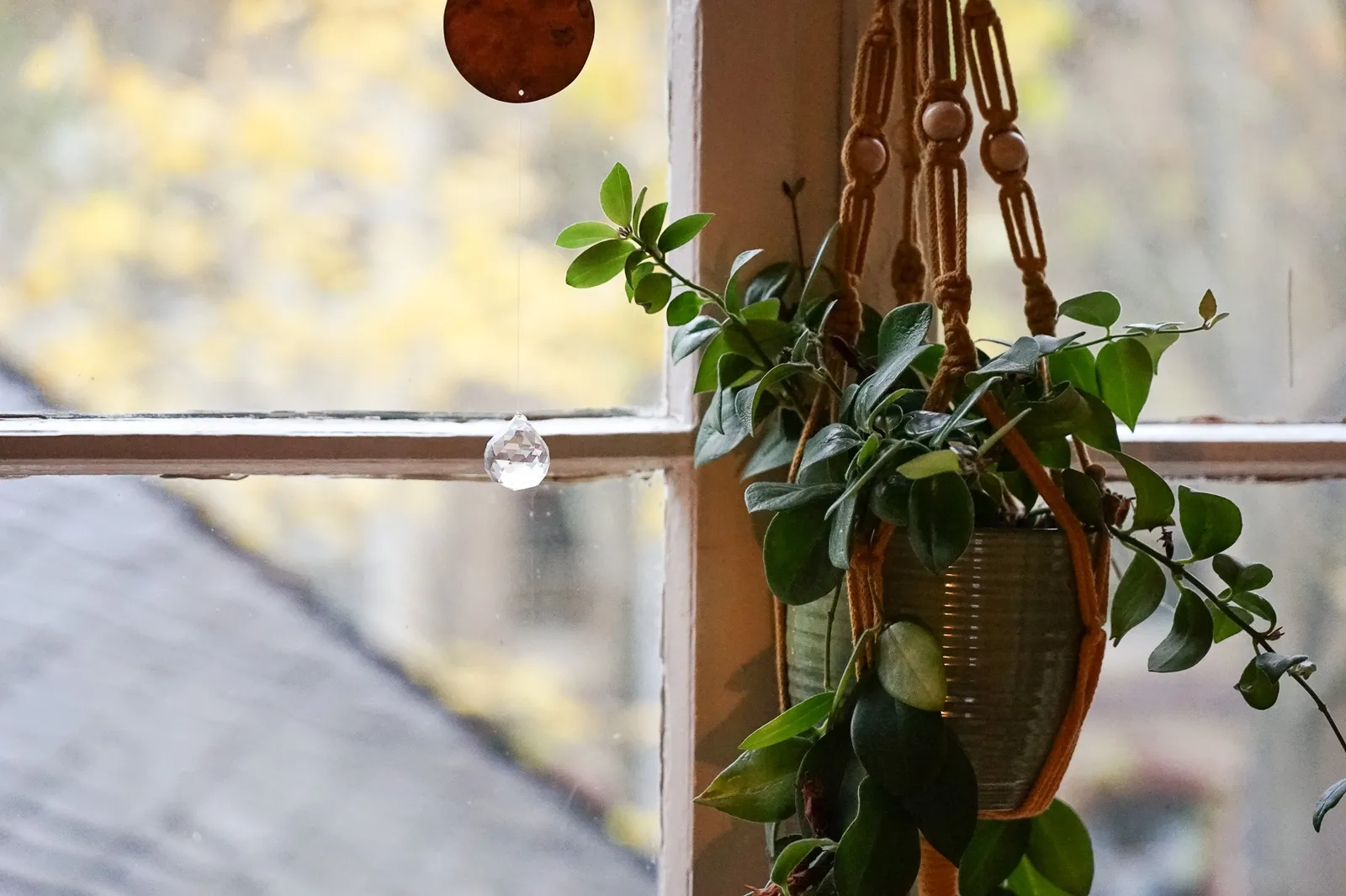 Wild Cat - Yoga Studio — yoga-studio i Halle (Saale) — 5
