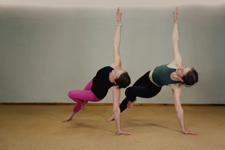 Wild Cat - Yoga Studio — Yoga in Giebichenstein, Halle (Saale)