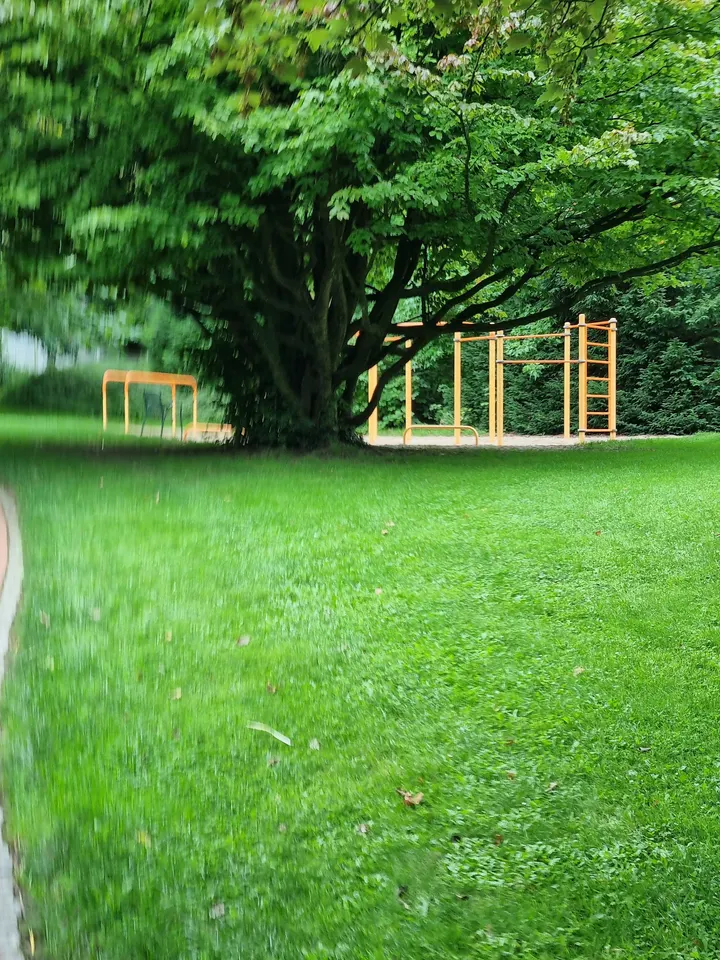 Calisthenics Park Essen — calisthenics-studio in Rüttenscheid, Essen — 3