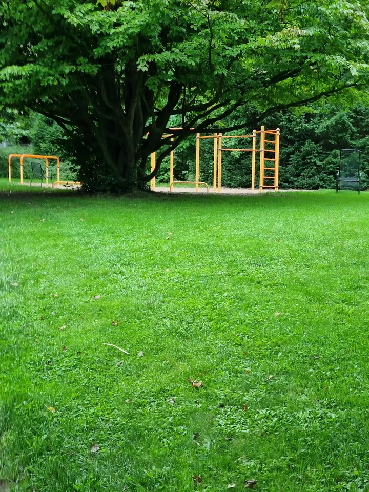 Calisthenics Park Essen — calisthenics-studio in Essen — 5