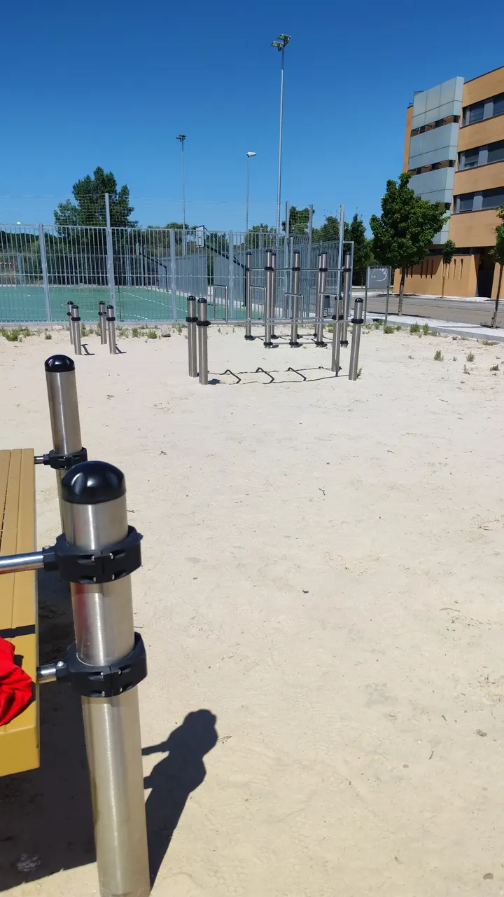 Pinar bars de Jalón (Calistenia) — calisthenics-studio en Valladolid — 3