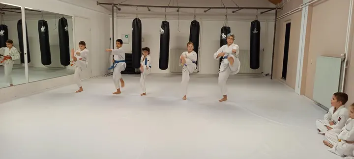 Martial Arts Venlo — vechtsport-studio in Blerick, Venlo — 3